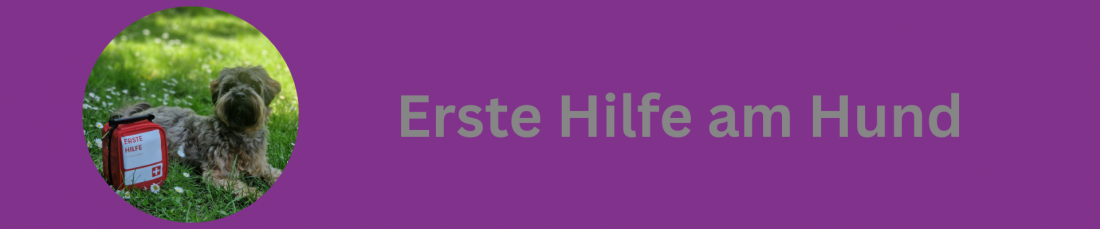 Erste Hilfe am Hund (Teilnahme mit Hund)